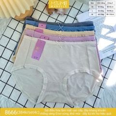 Quần lót kháng khuẩn làm mát MB 8666 cạp vừa