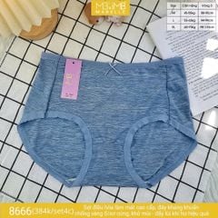 Quần lót kháng khuẩn làm mát MB 8666 cạp vừa