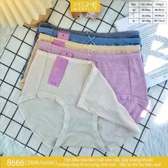Quần lót kháng khuẩn làm mát MB 8666 cạp vừa
