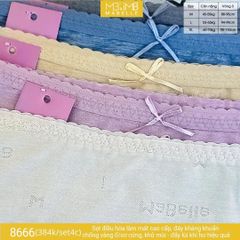 Quần lót kháng khuẩn làm mát MB 8666 cạp vừa