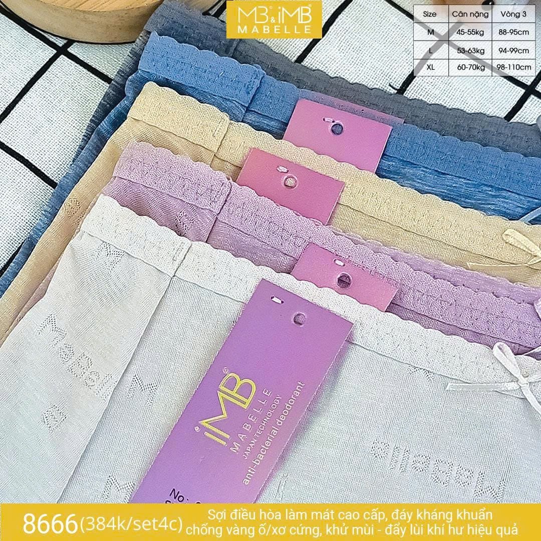 Quần lót kháng khuẩn làm mát MB 8666 cạp vừa