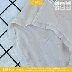 Quần lót kháng khuẩn làm mát MB 8666 cạp vừa