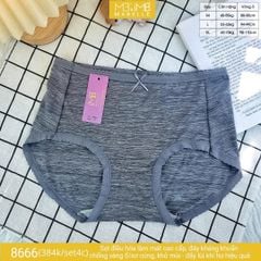 Quần lót kháng khuẩn làm mát MB 8666 cạp vừa