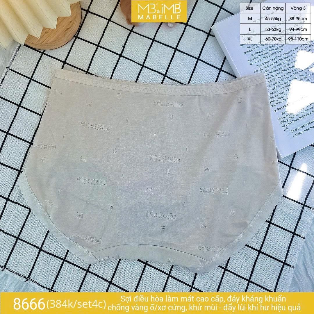 Quần lót kháng khuẩn làm mát MB 8666 cạp vừa