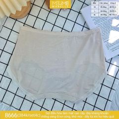 Quần lót kháng khuẩn làm mát MB 8666 cạp vừa