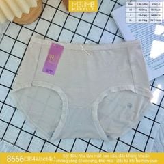 Quần lót kháng khuẩn làm mát MB 8666 cạp vừa