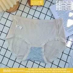 Quần lót kháng khuẩn làm mát MB 8666 cạp vừa