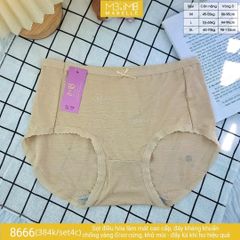 Quần lót kháng khuẩn làm mát MB 8666 cạp vừa