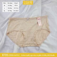 Quần lót khử khuẩn làm mát 8705 cạp vừa