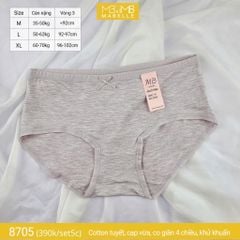 Quần lót khử khuẩn làm mát 8705 cạp vừa