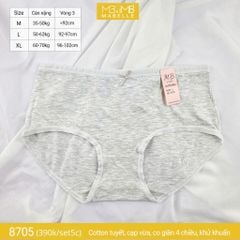 Quần lót khử khuẩn làm mát 8705 cạp vừa