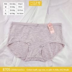 Quần lót khử khuẩn làm mát 8705 cạp vừa