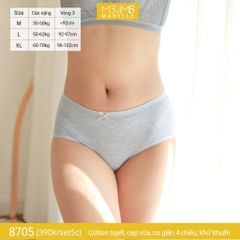 Quần lót khử khuẩn làm mát 8705 cạp vừa