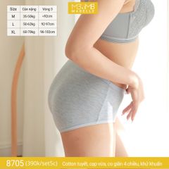 Quần lót khử khuẩn làm mát 8705 cạp vừa