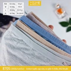 Quần lót khử khuẩn làm mát 8705 cạp vừa