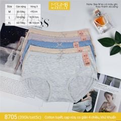 Quần lót khử khuẩn làm mát 8705 cạp vừa