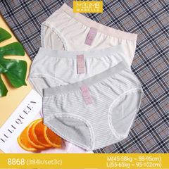 Quần lót kháng khuẩn dệt quốc dân MB 8868 cạp vừa