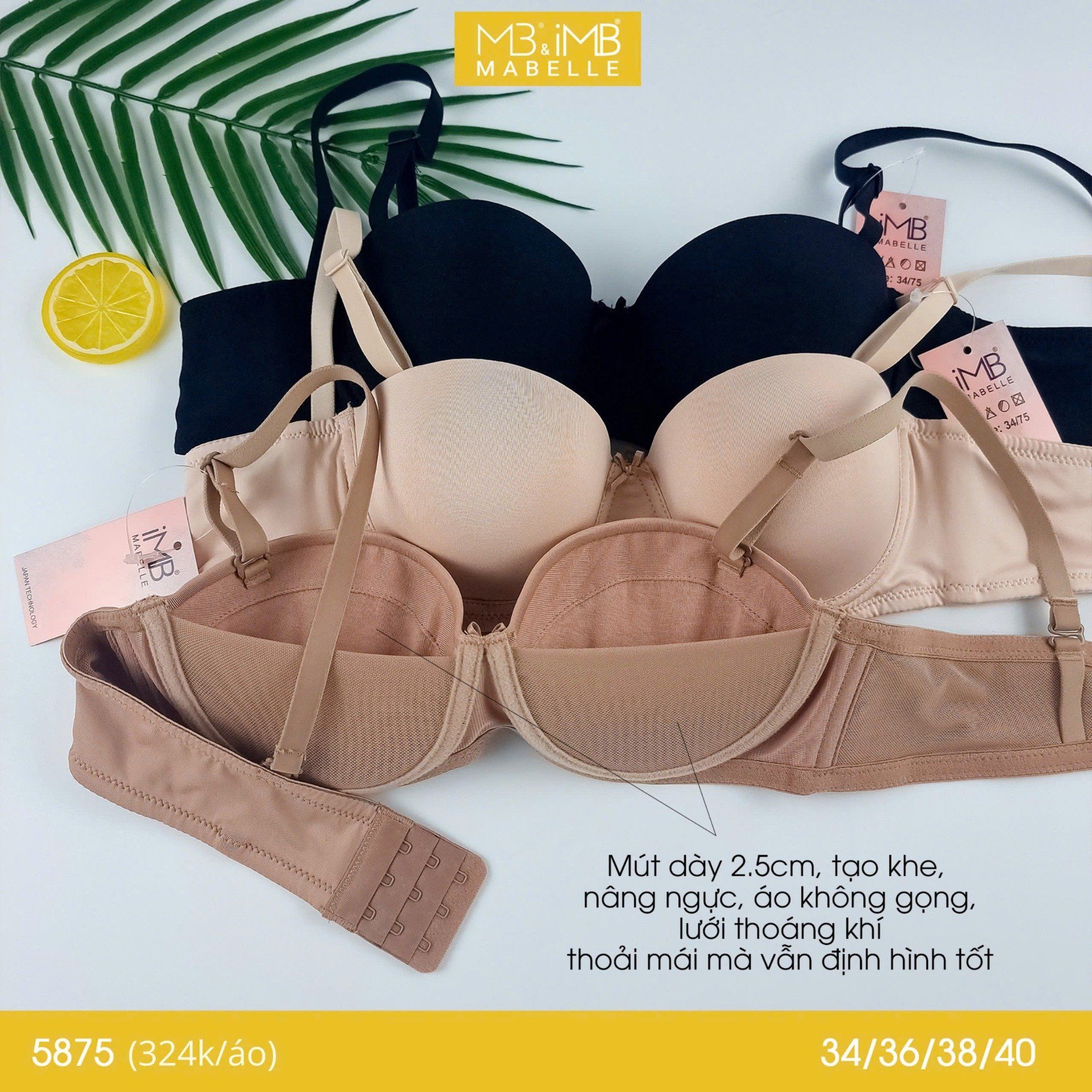 Áo ngực không gọng mút vừa 5875 3 móc