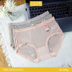 Quần lót mát lạnh tàng hình MB 7956 cạp vừa