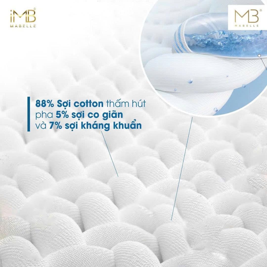 Quần lót kháng khuẩn 8885 (8867) cạp vừa