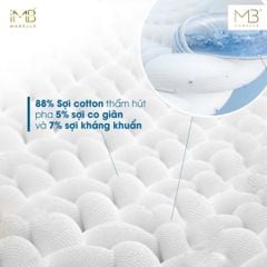 Quần lót kháng khuẩn 8885 (8867) cạp vừa