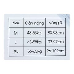 Quần lót kháng khuẩn làm mát MB i859 cạp vừa