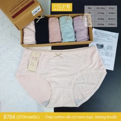 Quần lót khử khuẩn làm mát 8704 cạp vừa