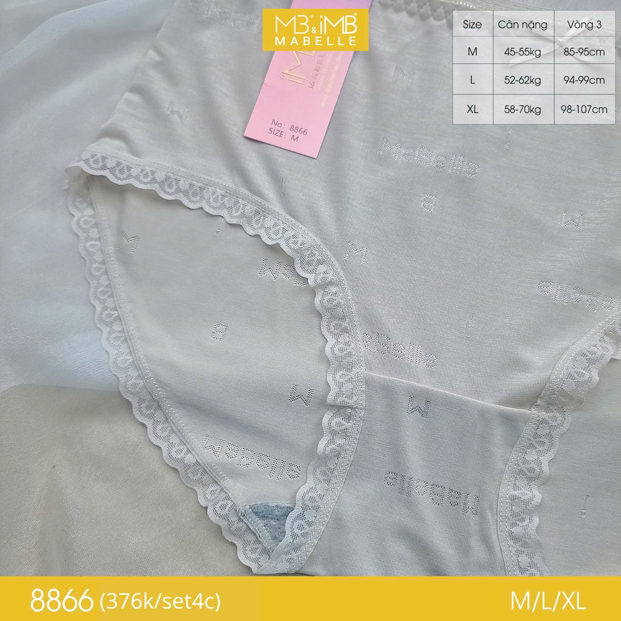 Quần lót kháng khuẩn làm mát 8866 cạp vừa