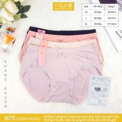 Quần lót kháng khuẩn i875 cạp vừa