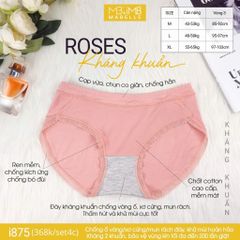 Quần lót kháng khuẩn i875 cạp vừa
