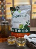  Trà Cà Gai Leo Atiso GigaHerbs - Túi Zip 250Gram Nước Trà Tea Chè, Cà Gai Leo Sạch Nguyên Chất, Atiso 