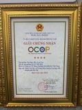 Trà Cà Gai Leo Rau Má GigaHerbs Trà Tốt Cho Gan - 60 Túi Lọc - Nước Trà Làm Mát Gan Tea Chè Tốt Cho Sức Khỏe 