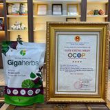  Trà Rau Má Tía Tô Gigaherbs Nước Trà Tea Chè - Túi 250Gr 