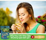  Trà Cà Gai Leo Rau Má 250 Gram 