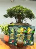  Trà Đinh Lăng Lạc Tiên Bịch 1 KG Tiết Kiệm Nước Trà Tea Chè 