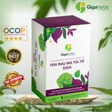  Trà Rau Má Tía Tô GigaHerbs - Hộp Vip 56Gram Nước Trà Tea Chè, Rau Má Sạch Nguyên Chất, Tía Tô 