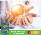  Trà Cà Gai Leo Rau Má 1KG Bịch Siêu Tiết Kiệm 