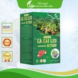 Trà Cà Gai Leo Atiso GiGa Hộp Vip 90 Túi Lọc Nước Trà Tea Chè 