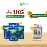 Mua 1 Kg Trà Cà Gai Leo Rau Má + Tặng 1 Túi Trà Đinh Lăng Lạc Tiên 20 Túi Lọc 