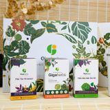  Hộp Trà 3 Vị GigaHerbs - Atiso Cà Gai Leo, Tía Tô Gold, Rau Má Tía Tô - Kèm Cốc Giữ Nhiệt, Mật Ong Sâm Đương Quy 