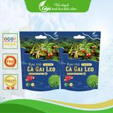  500G Trà Cà Gai Leo Rau Má GiGa Nước Trà Tea Chè 