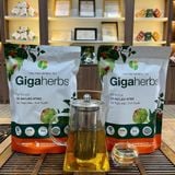  Trà Cà Gai Leo Atiso GigaHerbs - Túi Zip 250Gram Nước Trà Tea Chè, Cà Gai Leo Sạch Nguyên Chất, Atiso 