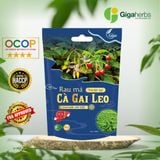  Trà Cà Gai Leo Rau Má GigaHerbs Trà Tốt Cho Gan - 60 Túi Lọc - Nước Trà Làm Mát Gan Tea Chè Tốt Cho Sức Khỏe 