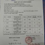  Combo 750Gram Trà Cà Gai Leo Nguyên Chất GiGa Nước Trà Tea Chè 