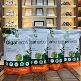  Trà Cà Gai Leo Atiso GigaHerbs - Túi Zip 250Gram Nước Trà Tea Chè, Cà Gai Leo Sạch Nguyên Chất, Atiso 