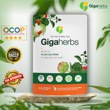  Trà Cà Gai Leo Atiso GigaHerbs - Túi Zip 250Gram Nước Trà Tea Chè, Cà Gai Leo Sạch Nguyên Chất, Atiso 