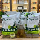 Trà Cà Gai Leo Rau Má Gigaherbs 250Gram - Cà Gai Leo Sạch Nguyên Chất, Rau Má Nước Trà Chè Tea 