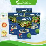  1Kg Trà Cà Gai Leo Rau Má GiGa Nước Trà Tea Chè 