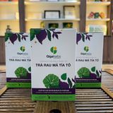  Trà Rau Má Tía Tô GigaHerbs - Hộp Vip 56Gram Nước Trà Tea Chè, Rau Má Sạch Nguyên Chất, Tía Tô 