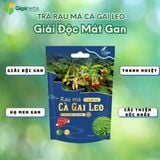 Trà Cà Gai Leo Rau Má GigaHerbs Trà Tốt Cho Gan - 60 Túi Lọc - Nước Trà Làm Mát Gan Tea Chè Tốt Cho Sức Khỏe 
